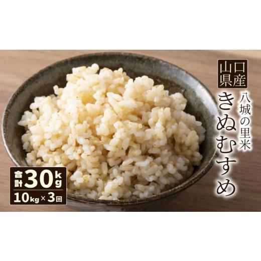 ふるさと納税 米 きぬむすめ 山口県 下関市 定期便 3ヶ月 きぬむすめ 玄米 10kg 合計30kg 令和7年度米 定期便 3ヶ月 玄米 10kg