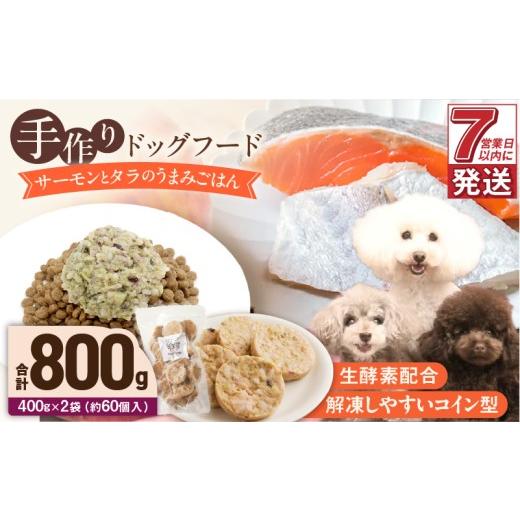 ふるさと納税 加工品等 レトルト 福岡県 久留米市 1cofood 手作りドッグフード サーモンとタラのうまみごはん 400g×2袋_Pf016 400g×2袋