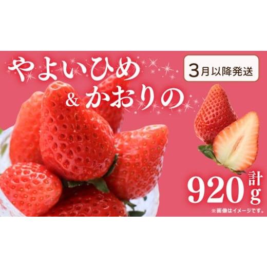 ふるさと納税 いちご 徳島県 阿波市 [3月〜発送] 先行予約 訳あり いちご やよいひめ かおりの 2種セット 920g 苺 ストロベリー 果物 フルーツ ケーキ ゼリ…