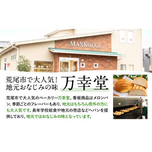 ふるさと納税 パン 菓子パン 熊本県 荒尾市 6ヶ月定期便 パン メロンパン 冷凍 プレーン 6個 手土産 おすそ分け スイーツ パン ギフト 菓子パン 万幸堂 《お…_5