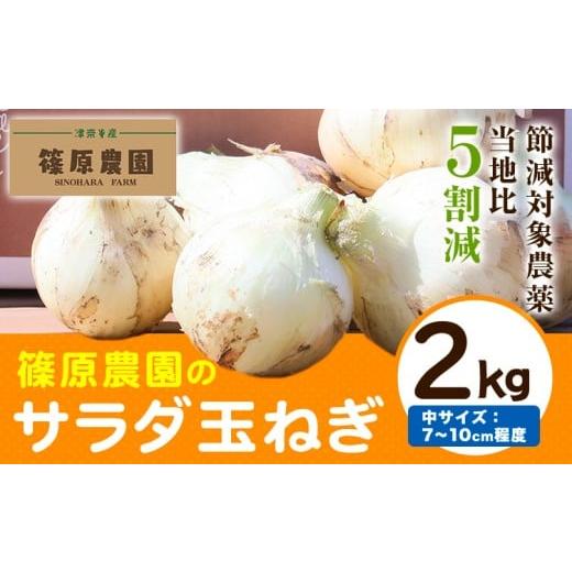 ふるさと納税 野菜類 玉ねぎ 熊本県 津奈木町 玉ねぎ 節減対象農薬 当地比5割減 サラダ玉ねぎ (中サイズ) 2kg[4月上旬-5月下旬頃出荷予定]熊本県 葦北郡 津…