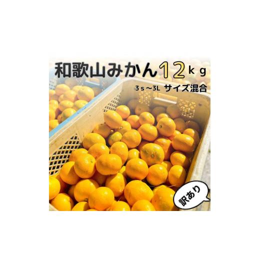 ふるさと納税 果物類 みかん 和歌山県 高野町 訳あり 和歌山みかん約11kg+補償分約1kg サイズ混合 11月より順次発送 訳ありみかん red2