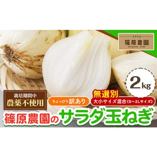 ふるさと納税 野菜類 玉ねぎ 熊本県 津奈木町 訳あり 栽培期間中 農薬不使用 サラダ玉ねぎ (S-2Lサイズ) 2kg[2月中旬-3月下旬頃出荷]熊本県 葦北郡 津奈木…