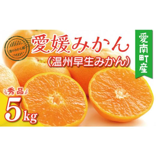 ふるさと納税 果物類 みかん 愛媛県 愛南町 先行予約 愛媛みかん 秀品 ( 温州 早生 みかん ) 5kg 10000円 愛媛 みかん 温州みかん 早生 みかん こたつ みか…