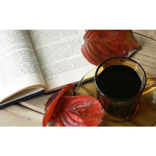 ふるさと納税 コーヒー コーヒー豆 島根県 松江市  豆 全12回定期便 焙煎したて・新鮮な珈琲豆を毎月お届け200g×2袋 島根県松江市／服部珈琲工房 ALBY005-1 …の画像