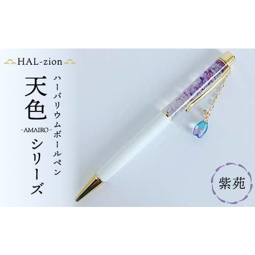 ふるさと納税 文房具・玩具 ボールペン 埼玉県 本庄市 HAL-zion