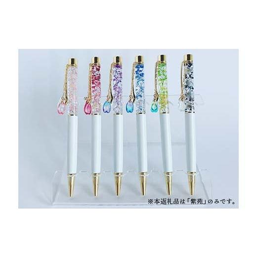 ふるさと納税 文房具・玩具 ボールペン 埼玉県 本庄市 HAL-zion