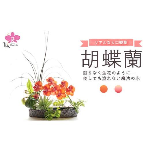 ふるさと納税 花・苗木 神奈川県 相模原市 ピンク 選べるカラー 限りなく生花のように…倒しても溢れない魔法の水「胡蝶蘭」 北海道・沖縄・離島への配送不…