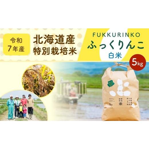 ふるさと納税 米 北海道 深川市 [令和7年産]北海道産 特別栽培米ふっくりんこ(白米) 5kg 国産 北海道産 米 お米 白米 ごはん 精米 北海道 深川市 2025年11…