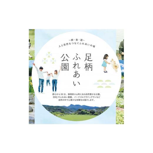 ふるさと納税 体験チケット 静岡県 小山町 足柄ふれあい公園 手ぶらで BBQ（4名様）│ バーべキュー 手ぶら 公園 利用券 体験チケット 体験型 静岡県 小山町の画像
