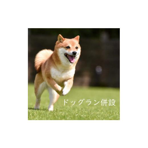 ふるさと納税 体験チケット 静岡県 小山町 足柄ふれあい公園 手ぶらで BBQ（4名様）│ バーべキュー 手ぶら 公園 利用券 体験チケット 体験型 静岡県 小山町の画像