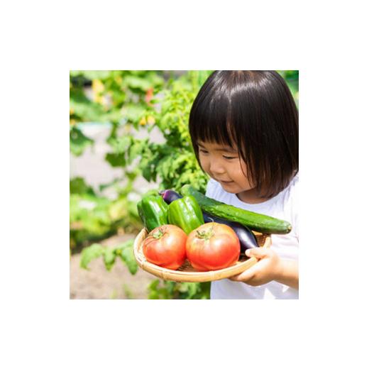 ふるさと納税 体験チケット 静岡県 小山町 足柄ふれあい公園 手ぶらで BBQ（4名様）│ バーべキュー 手ぶら 公園 利用券 体験チケット 体験型 静岡県 小山町の画像