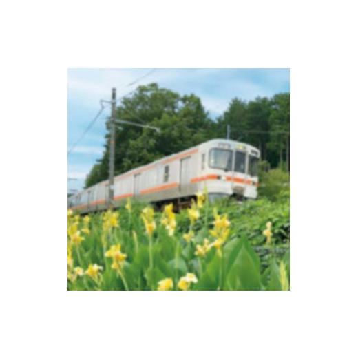 ふるさと納税 体験チケット 静岡県 小山町 足柄ふれあい公園 手ぶらで BBQ（4名様）│ バーべキュー 手ぶら 公園 利用券 体験チケット 体験型 静岡県 小山町の画像