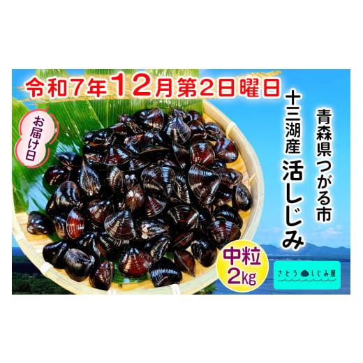ふるさと納税 魚貝類 しじみ 青森県 つがる市 令和7年12月第2日曜日配達 さとうしじみ屋の十三湖産活しじみ(中粒2kg) 冷蔵 |十三湖産 青森 津軽 つがる しじ…