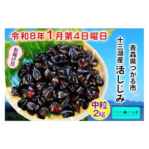 ふるさと納税 魚貝類 しじみ 青森県 つがる市 令和8年1月第4日曜日配達 さとうしじみ屋の十三湖産活しじみ(中粒2kg) 冷蔵 |十三湖産 青森 津軽 つがる しじ…