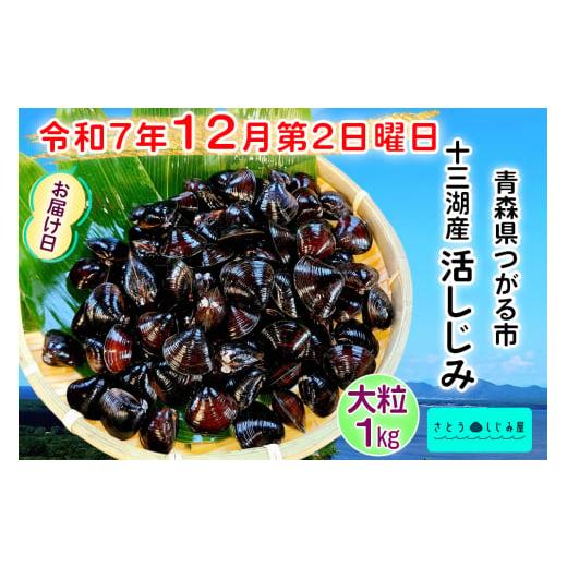 ふるさと納税 魚貝類 しじみ 青森県 つがる市 令和7年12月第2日曜日配達 さとうしじみ屋の十三湖産活しじみ(大粒1kg) 冷蔵 |十三湖産 青森 津軽 つがる しじ…