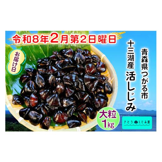 ふるさと納税 魚貝類 しじみ 青森県 つがる市 令和8年2月第2日曜日配達 さとうしじみ屋の十三湖産活しじみ(大粒1kg) 冷蔵 |十三湖産 青森 津軽 つがる しじ…