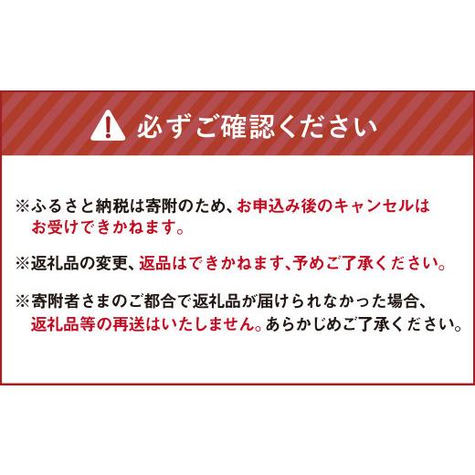 ふるさと納税 セット・詰合せ 北海道 北広島市  有機JAS認定 4ヶ月隔月定期便 季節の野菜詰め合わせ 〜有機野菜セットB〜 15種類〜18種類 季節 野菜 野菜セッ…の画像
