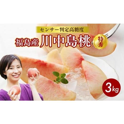 ふるさと納税 もも 福島県 国見町 透過式光センサー川中島白桃 特秀3kg相当 9玉〜11玉 ふくしま未来農業協同組合 | ふくしま 桃 福島 もも 国見 モモ 2026年8…の画像