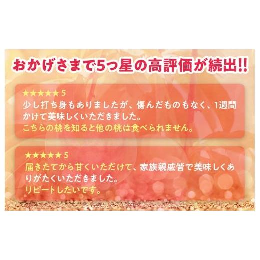 ふるさと納税 もも 福島県 国見町 透過式光センサー川中島白桃 特秀3kg相当 9玉〜11玉 ふくしま未来農業協同組合 | ふくしま 桃 福島 もも 国見 モモ 2026年8…の画像