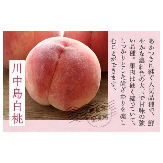ふるさと納税 もも 福島県 国見町 透過式光センサー川中島白桃 特秀3kg相当 9玉〜11玉 ふくしま未来農業協同組合 | ふくしま 桃 福島 もも 国見 モモ 2026年8…の画像