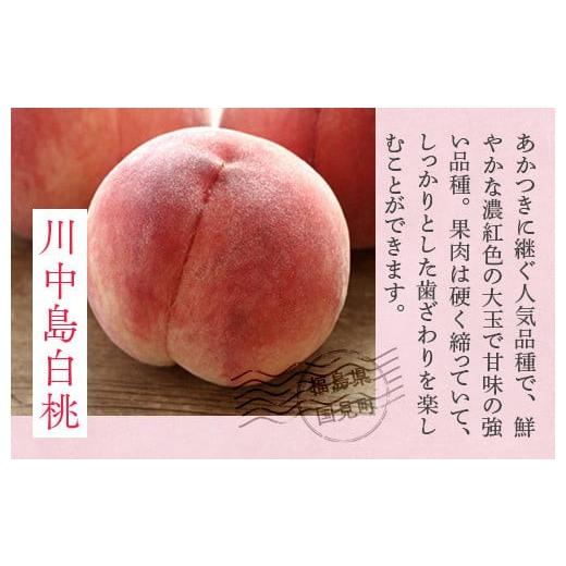 ふるさと納税 もも 福島県 国見町 透過式光センサー川中島白桃 特秀3kg相当 9玉〜11玉 ふくしま未来農業協同組合 | ふくしま 桃 福島 もも 国見 モモ 2026年8…_4