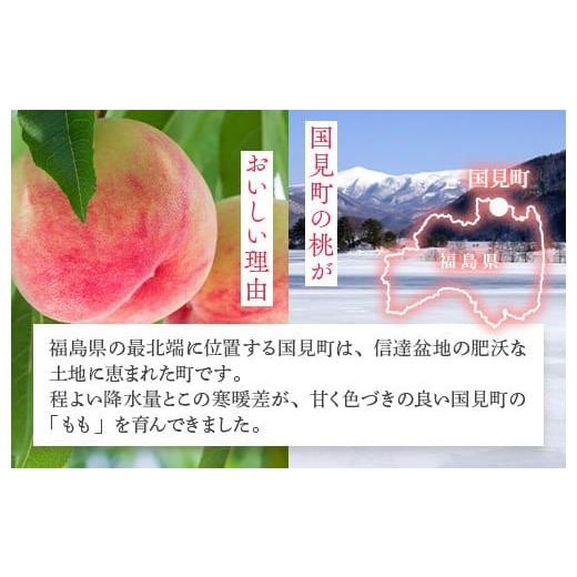 ふるさと納税 もも 福島県 国見町 透過式光センサー川中島白桃 特秀3kg相当 9玉〜11玉 ふくしま未来農業協同組合 | ふくしま 桃 福島 もも 国見 モモ 2026年8…の画像