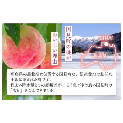 ふるさと納税 もも 福島県 国見町 透過式光センサー川中島白桃 特秀3kg相当 9玉〜11玉 ふくしま未来農業協同組合 | ふくしま 桃 福島 もも 国見 モモ 2026年8…_5