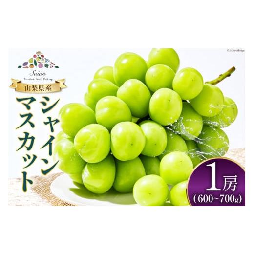 ふるさと納税 ぶどう マスカット 山梨県 韮崎市 2026年発送 先行受付 シャインマスカット 予約 1房 600 〜 700g シャイン マスカット 山梨 フルーツ 果物 く…