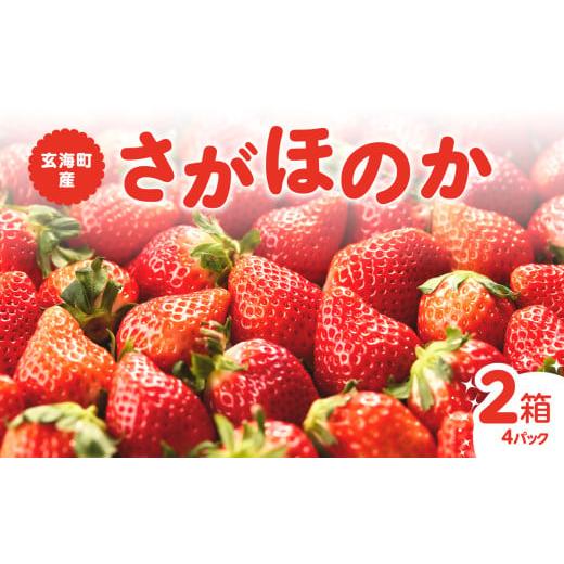 ふるさと納税 いちご 佐賀県 玄海町 予約受付 平川いちご農園 佐賀県玄海町産「さがほのかDX」2026年1月〜4月までに順次配送 / 送料無料 さがほのか 苺 いち…
