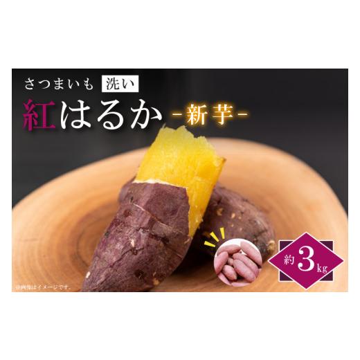 ふるさと納税 野菜類 サツマイモ 茨城県 行方市 2026年9月より順次発送 農産物直売所「やさいの声」さつまいも 紅はるか 新芋 洗い 約3kg|さつまいも サ…