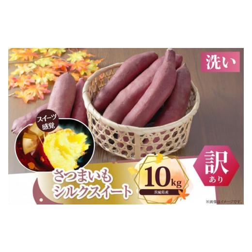 ふるさと納税 野菜類 サツマイモ 茨城県 行方市 訳あり さつまいも シルクスイート 約10kg|さつまいも 芋 お芋 わけあり 訳あり シルクスイート タネのハシ…