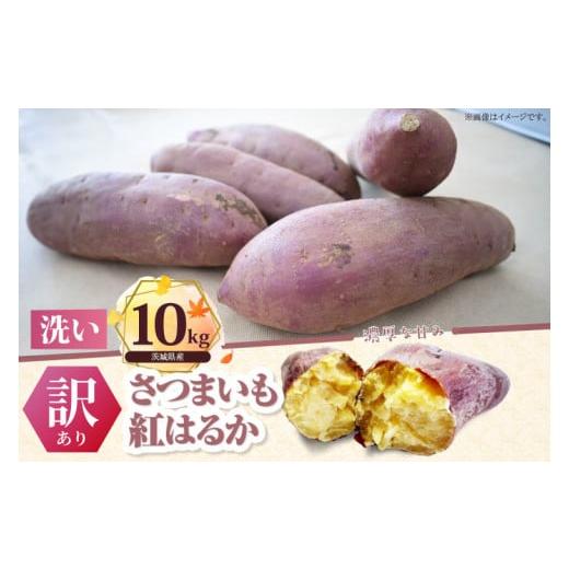 ふるさと納税 野菜類 サツマイモ 茨城県 行方市 訳あり 紅はるか 約10kg|さつまいも 芋 お芋 わけあり 訳あり 紅はるか タネのハシモト 茨城県 行方市(BS-23…