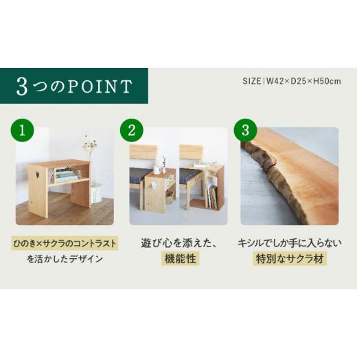 ふるさと納税 雑貨・日用品 静岡県 浜松市 2026年2月より順次発送 XYL（オーガニックファニチャー・キシル）サイドテーブル A 配送不可：沖縄・離島 雑貨 日…_3