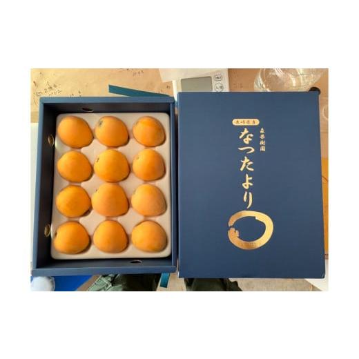 ふるさと納税 果物類 びわ 長崎県 長崎市 先行予約 枇杷「なつたより」1kg / 果物 くだもの フルーツ ビワ びわ 長崎県 長崎市 オンライン決済限定 2026年5月…