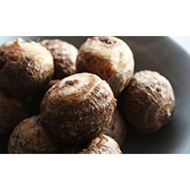 ふるさと納税 野菜類 兵庫県 加西市 里芋 2025年産 絹里芋 おでん 煮物 おせち 無農薬 野菜類 さといも やさい サトイモ