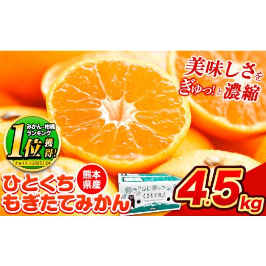 ふるさと納税 果物類 みかん 熊本県 荒尾市 訳あり みかん ひとくちもぎたてみかん 約 4.5kg (4.5kg×1箱) S-3Sサイズ 訳あり ご家庭用 熊本県産 (荒尾市産含…