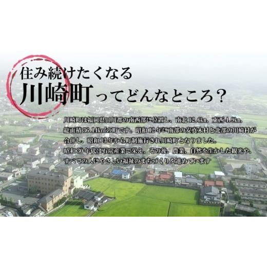 ふるさと納税 牛肉 ハンバーグ 福岡県 川崎町 お肉屋さんの手ごね特上ハンバーグ／博多和牛入り 10個 黒毛和牛ハンバーグ 10個 |  | 04