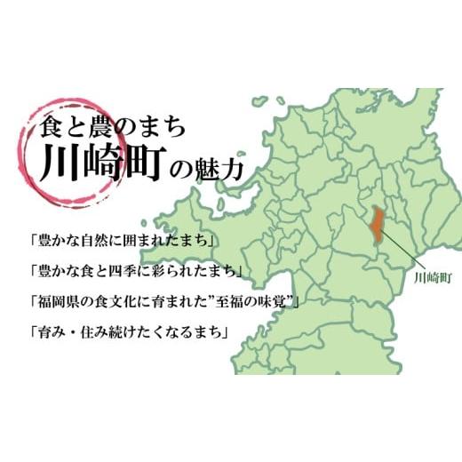 ふるさと納税 牛肉 ハンバーグ 福岡県 川崎町 お肉屋さんの手ごね特上ハンバーグ／博多和牛入り 10個 黒毛和牛ハンバーグ 10個 |  | 05