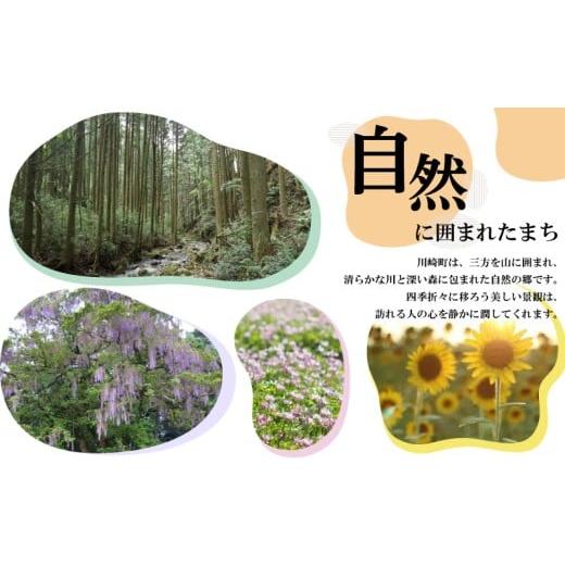 ふるさと納税 牛肉 ハンバーグ 福岡県 川崎町 お肉屋さんの手ごね特上ハンバーグ／博多和牛入り 10個 黒毛和牛ハンバーグ 10個 |  | 06