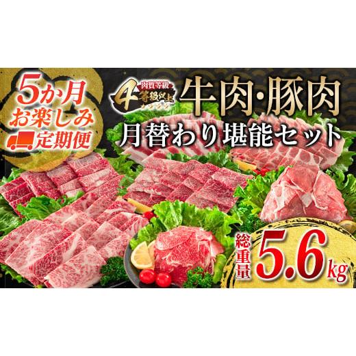 ふるさと納税 牛肉 焼肉・バーベキュー 宮崎県 日南市 令和8年2月から毎月配送 5か月定期便 月替わりで堪能 牛肉 豚肉 焼肉 セット 豚バラ 肩ロース モモ ウ…