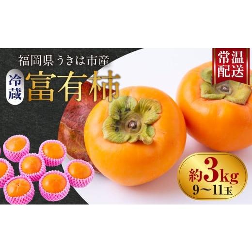 ふるさと納税 果物類 柿 福岡県 うきは市 先行予約 西見柿農園 冷蔵富有柿 9玉から11玉 (約3kg) 2026年12月下旬-2027年1月下旬発送予定 柿 かき カキ 果物 く…
