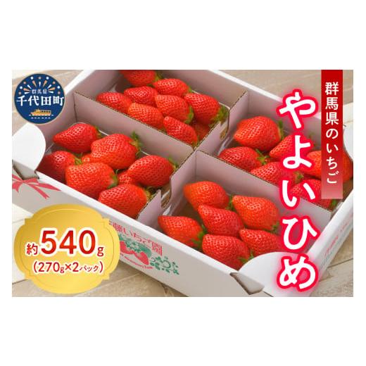 ふるさと納税 いちご 群馬県 千代田町 [先行予約]2026年4月発送 いちご「 やよいひめ 」約270g×2パック 群馬県 千代田町 斉藤いちご園 4月発送