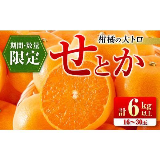 ふるさと納税 果物類 みかん 宮崎県 日南市 柑橘の大トロ せとか 計6kg以上 先行予約 希少 期間限定 数量限定 フルーツ 果物 くだもの 柑橘 みかん オレンジ …