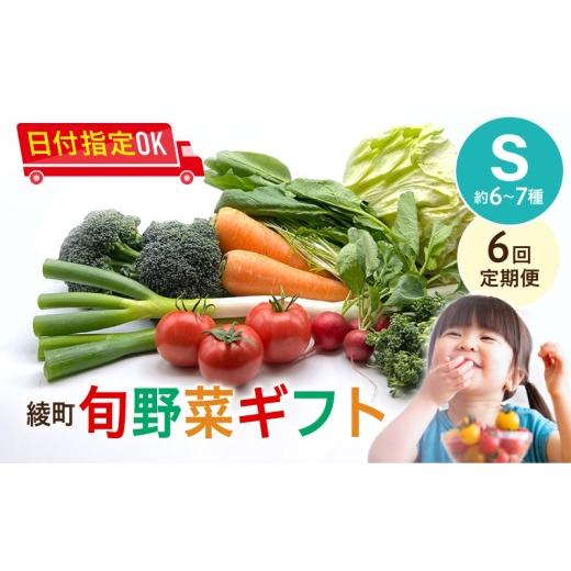 ふるさと納税 セット・詰合せ 宮崎県 綾町  6回定期便 綾町旬野菜ギフト〈 Sサイズ／約6-7種 〉1〜2人分 産地直送 野菜セット 詰め合わせ 新鮮 有機栽培 採れ…_1