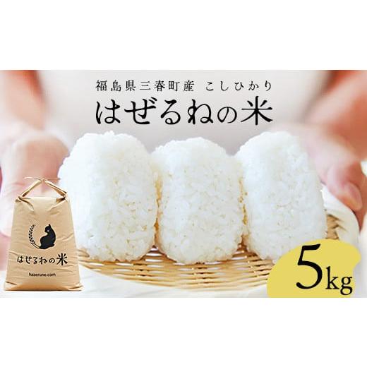 ふるさと納税 米 福島県 三春町 令和7年産 三春町産コシヒカリ5kg はぜるねの米