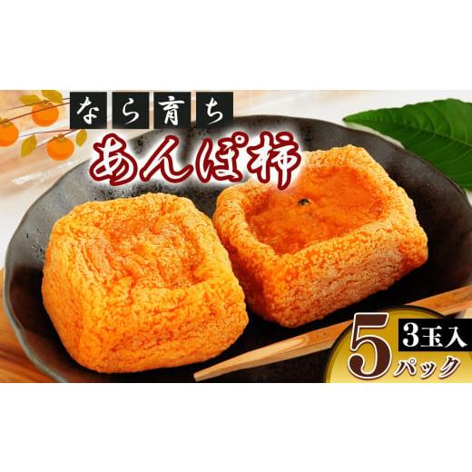 ふるさと納税 加工品等 奈良県 五條市 なら育ち 益田農園 あんぽ