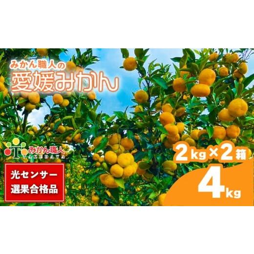 ふるさと納税 果物類 みかん 愛媛県 愛南町 訳あり 愛媛みかん 2kg 2箱 セット 計4kg 人気 みかん 冬 秋 旬 糖度 糖度計 厳選 光センサー選果 柑橘 少量 果物 …