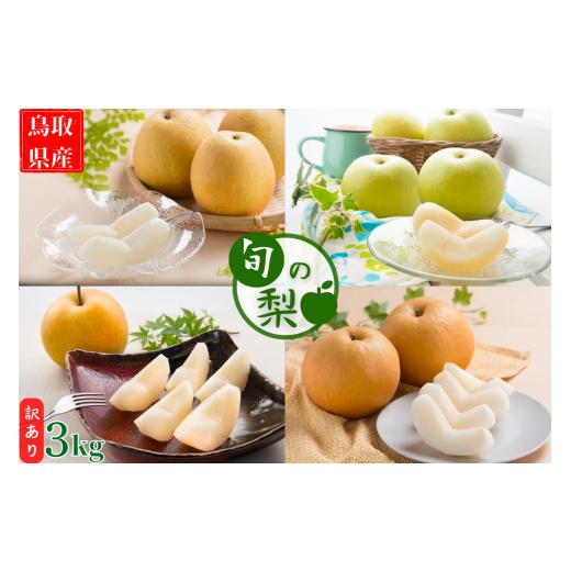 ふるさと納税 梨 鳥取県 八頭町 <数量限定> 今シーズン発送 訳あり 鳥取県産旬の梨 3kg