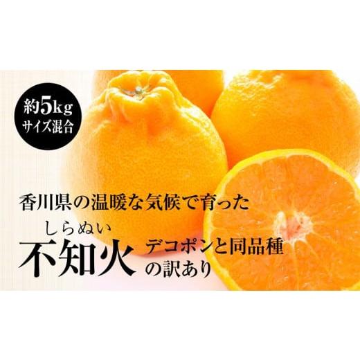 ふるさと納税 果物類 みかん 香川県 さぬき市 訳あり しらぬい (不知火) 約5kg サイズおまかせ